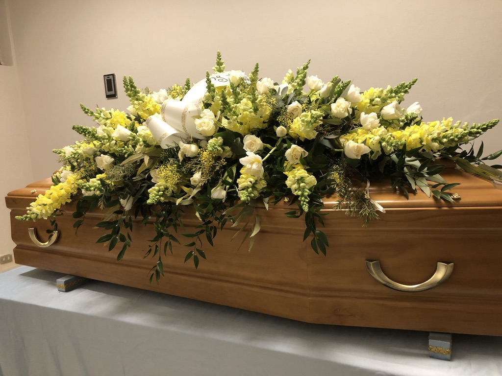 33C52923 FEF3 48D4 AEA2 4E86C46337E1 1 105 C